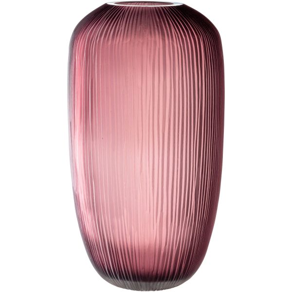 Vaso Berry 50