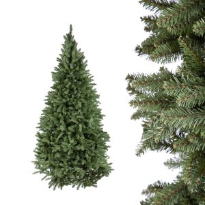 Albero Appennino 170